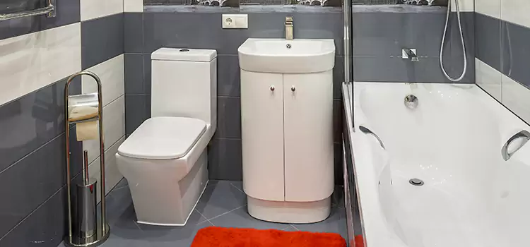 Hansgrohe Shaving Mirror Fort Smith